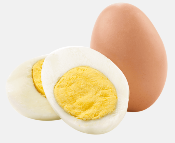Hiedek Jumbo Eggs (Sale price = wholesale)